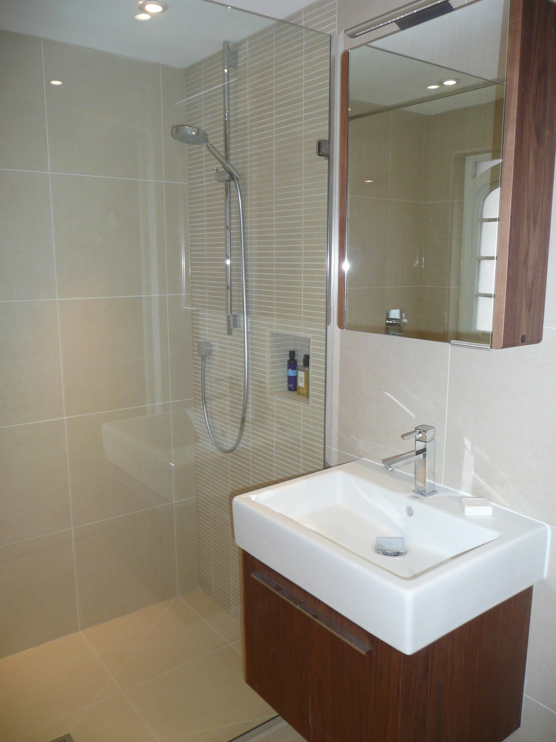 Wimbledon Common interior 5